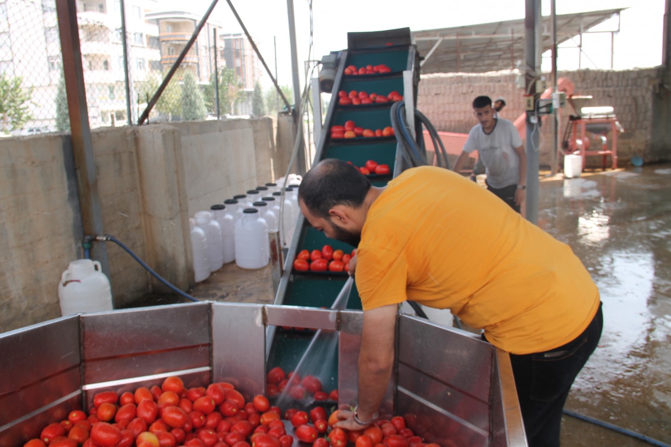 Şanlıurfa'da mevsimlerden ‘kırmızı’