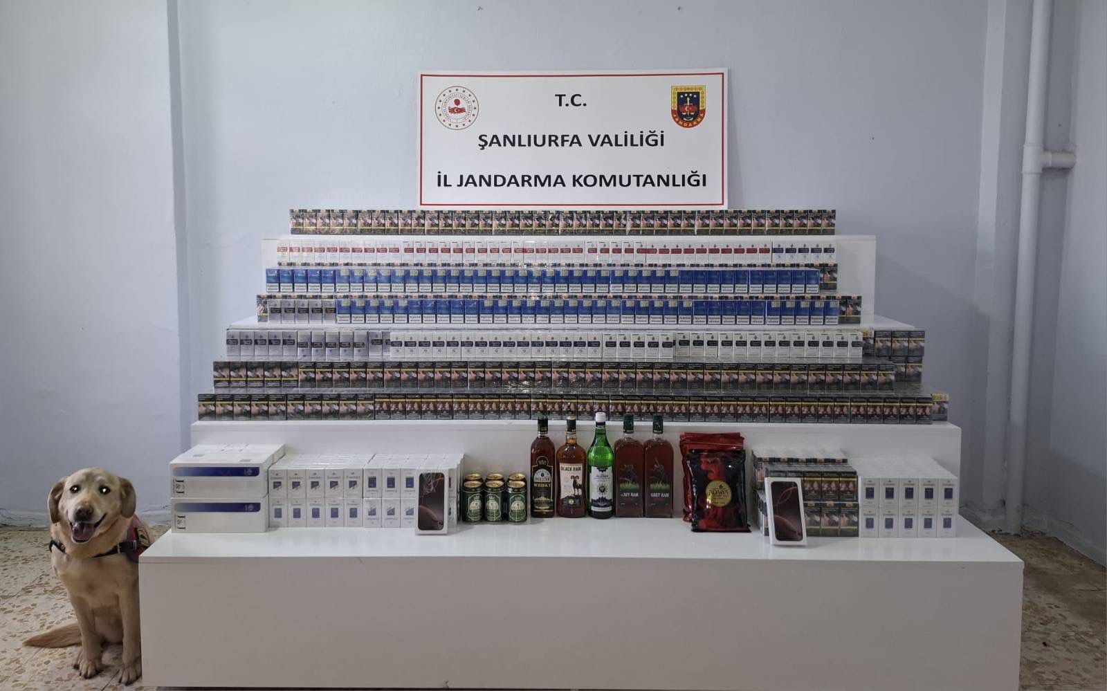 Tam 72 şahıs yakalandı! Urfa'da dev operasyon!
