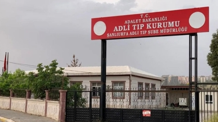 Urfa’da görüntü yürek dağladı! Ağaca asılı halde bulundu!