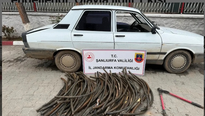 Şanlıurfa’da hırsızlık girişimi engellendi! Zarar 1 milyonu geçti!