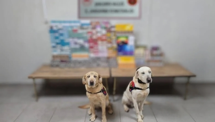 Kaçak ticaretine darbe! Urfa'da 27 şüpheli yakalandı!