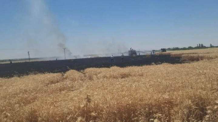 Urfa’da bir yangın daha! 50 dönümlük tarla küle döndü