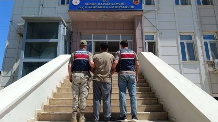 Suruç’ta dolandırıcılık hükümlüsü yakalandı