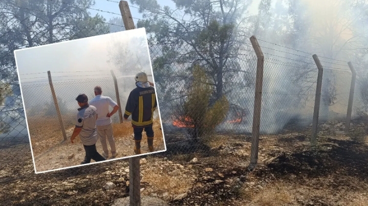 Bozova'daki ağaçlık alan yangını kısa sürede söndürüldü