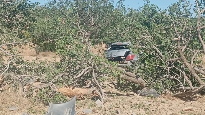 Şanlıurfa’da kontrolden çıkan araç fıstık tarlasına girdi!