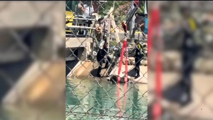 Urfa'da eşek seferberliği! Zamanla yarıştılar