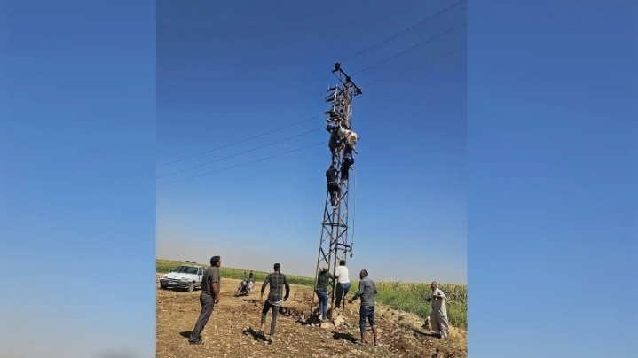 Şanlıurfa’da ölümden döndü! Direkte asılı kaldı