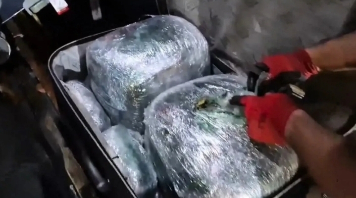 Şanlıurfa'da valizden 17 kilo skunk çıktı!
