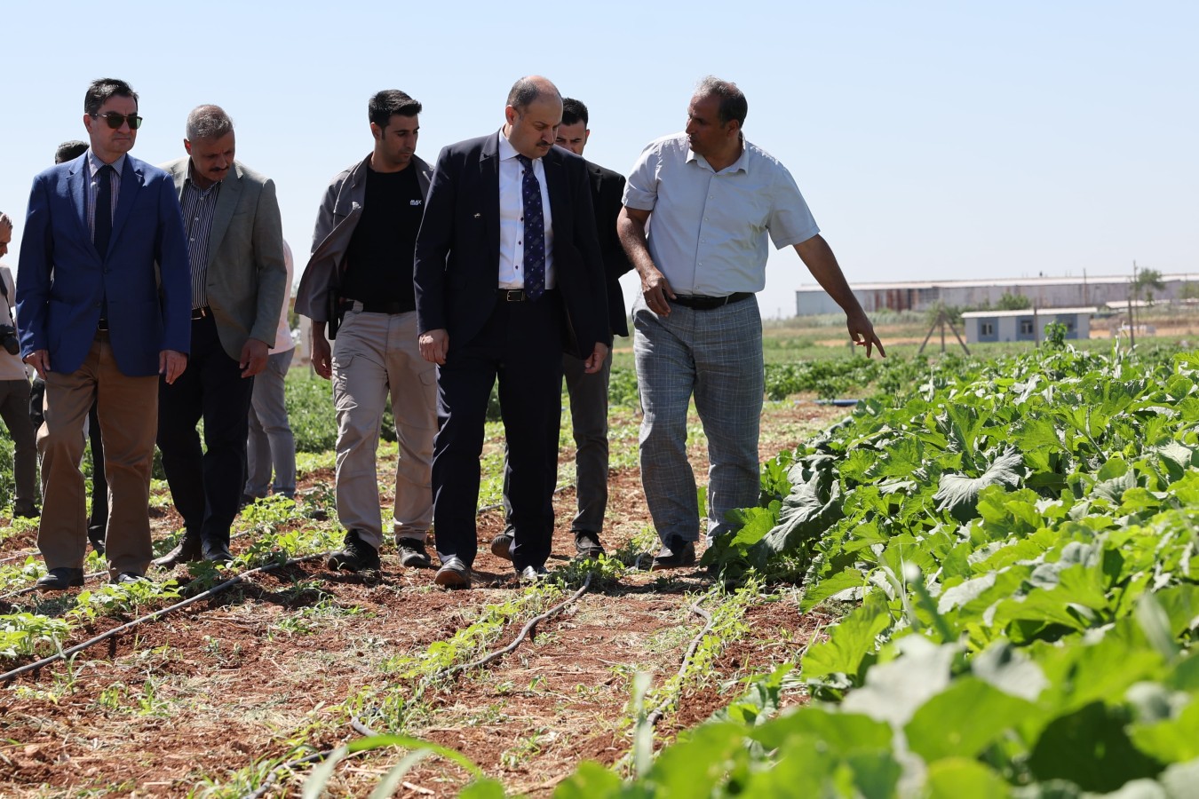 BAŞKAN GÜLPINAR’DAN DÜNYA ÇİFTÇİLER GÜNÜ MESAJI