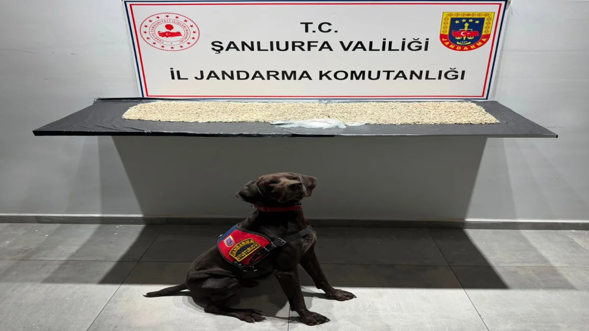 Şanlıurfa’da Uyuşturucu Operasyonu: 14 Bin 410 Captagon Ele Geçirildi
