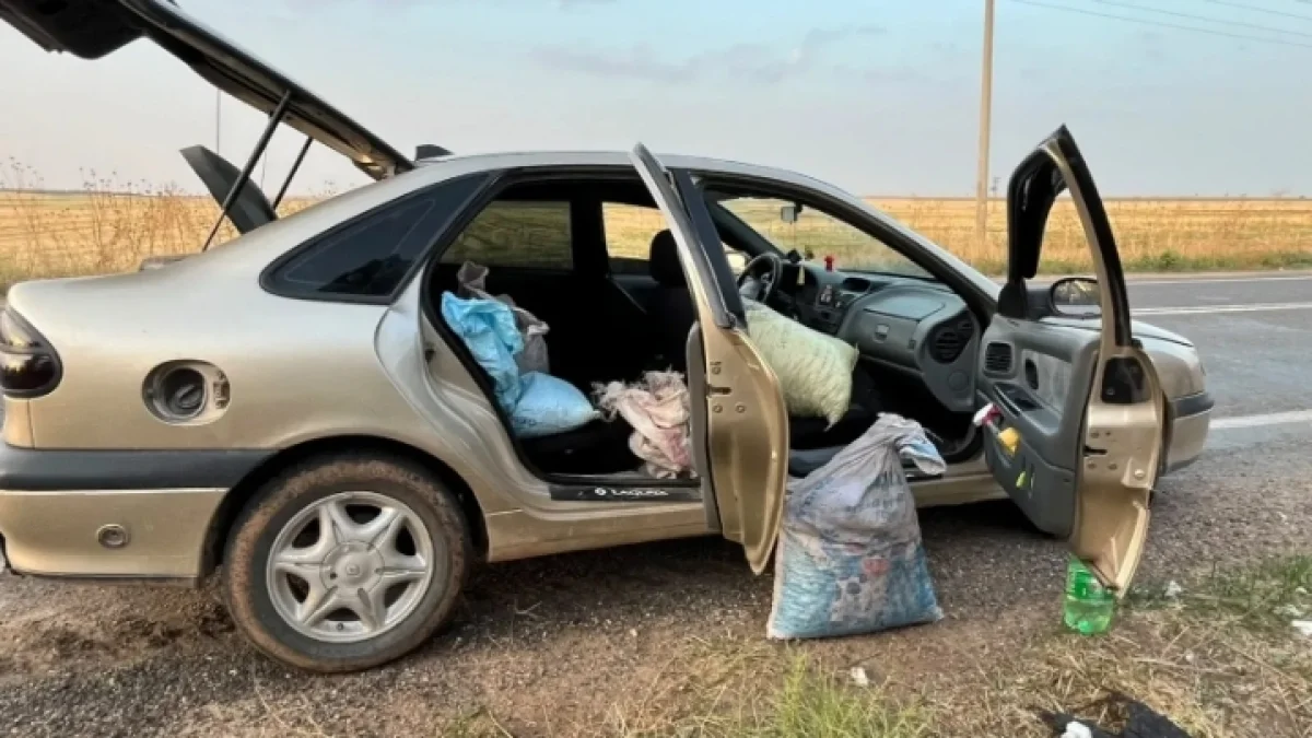 Urfa’da Fıstık Hırsızlığı! 4 Şüpheli Suçüstü Yakalandı