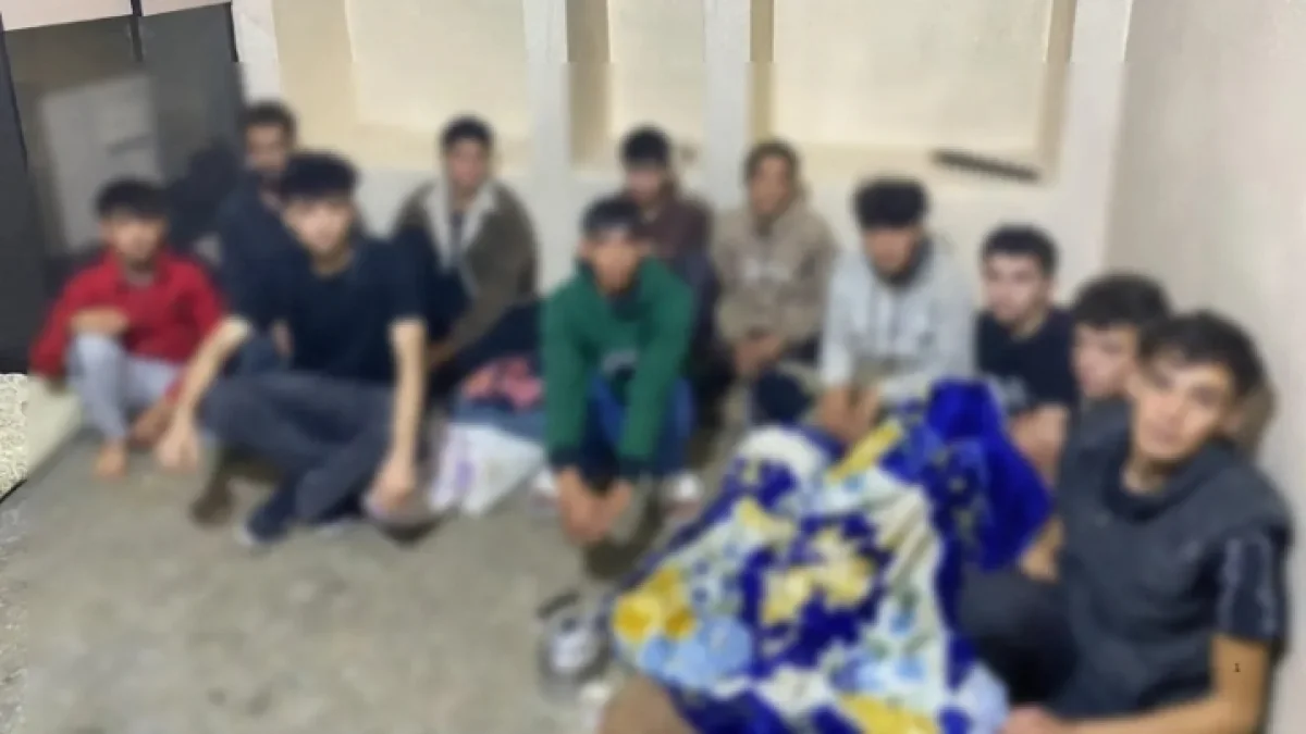 Şanlıurfa’da göçmen kaçakçılığına yönelik operasyon!