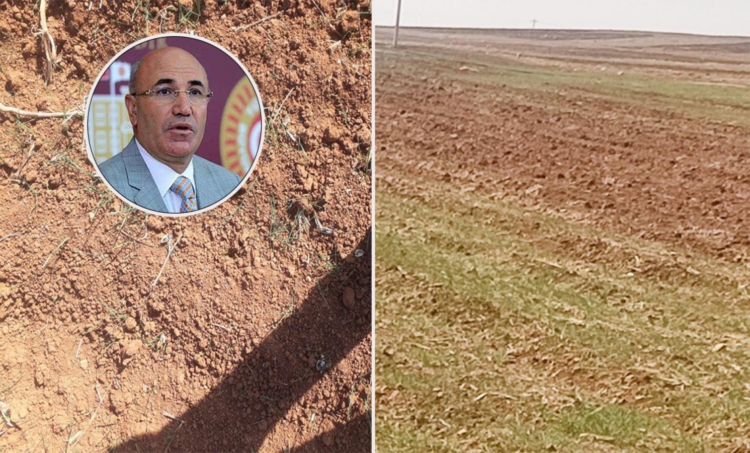 Tanal: Suruç Ovası’nda ekinler kuruyor!