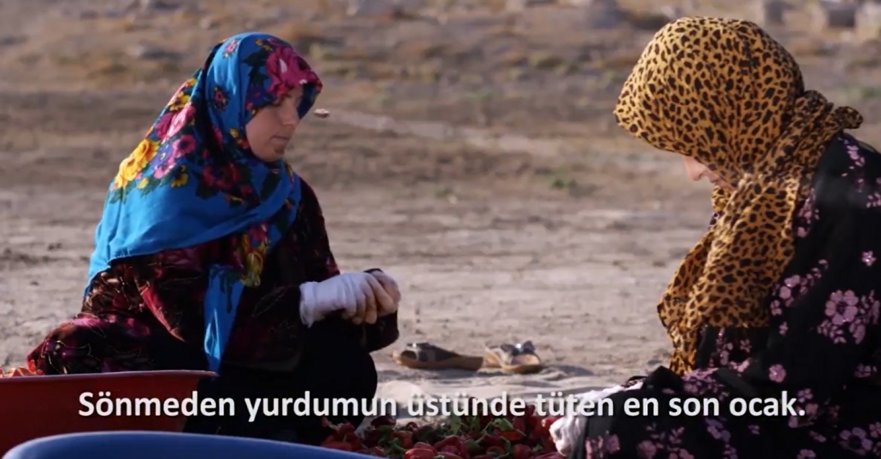 TÜİB 'İstiklal Marşı' için Urfa'da klip çekti