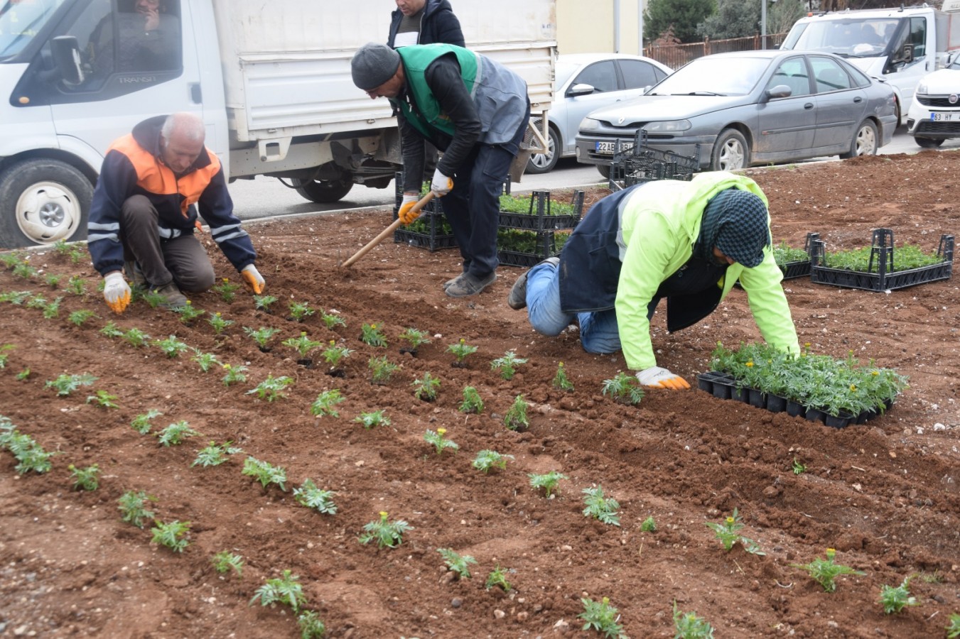 Viranşehir’i gül ve çiçeklerle donatıyorlar