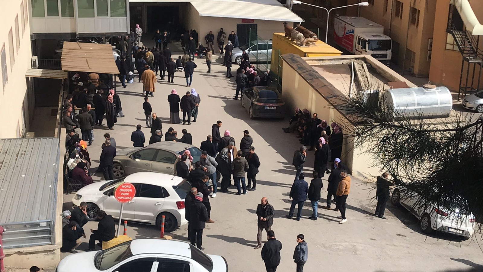 'Köpek' kavgasına karışanlar Suriye’ye kaçmak isterken yakalandı