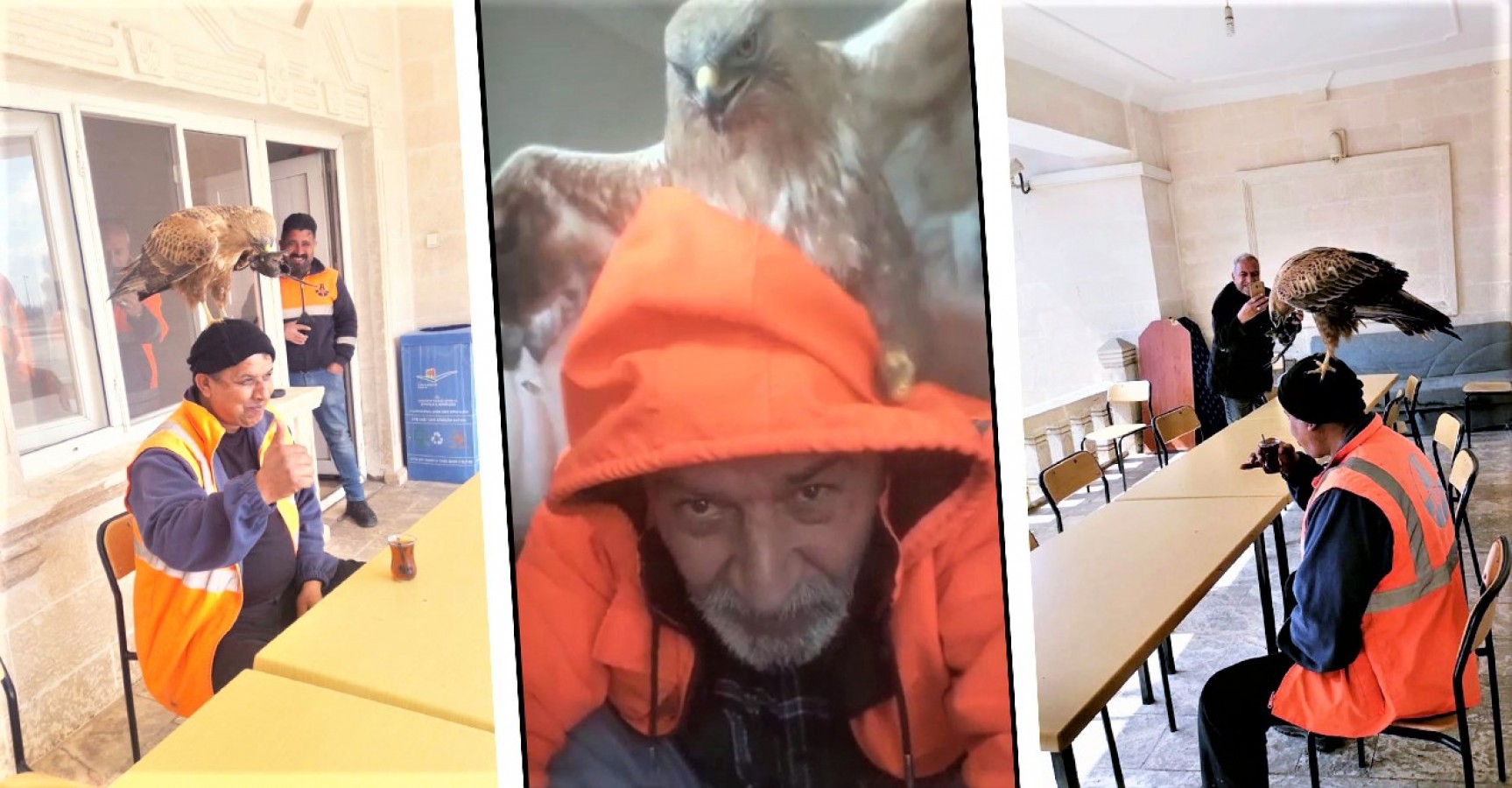 Yavruyken bulup beslediği ‘Reis’ aileden biri oldu