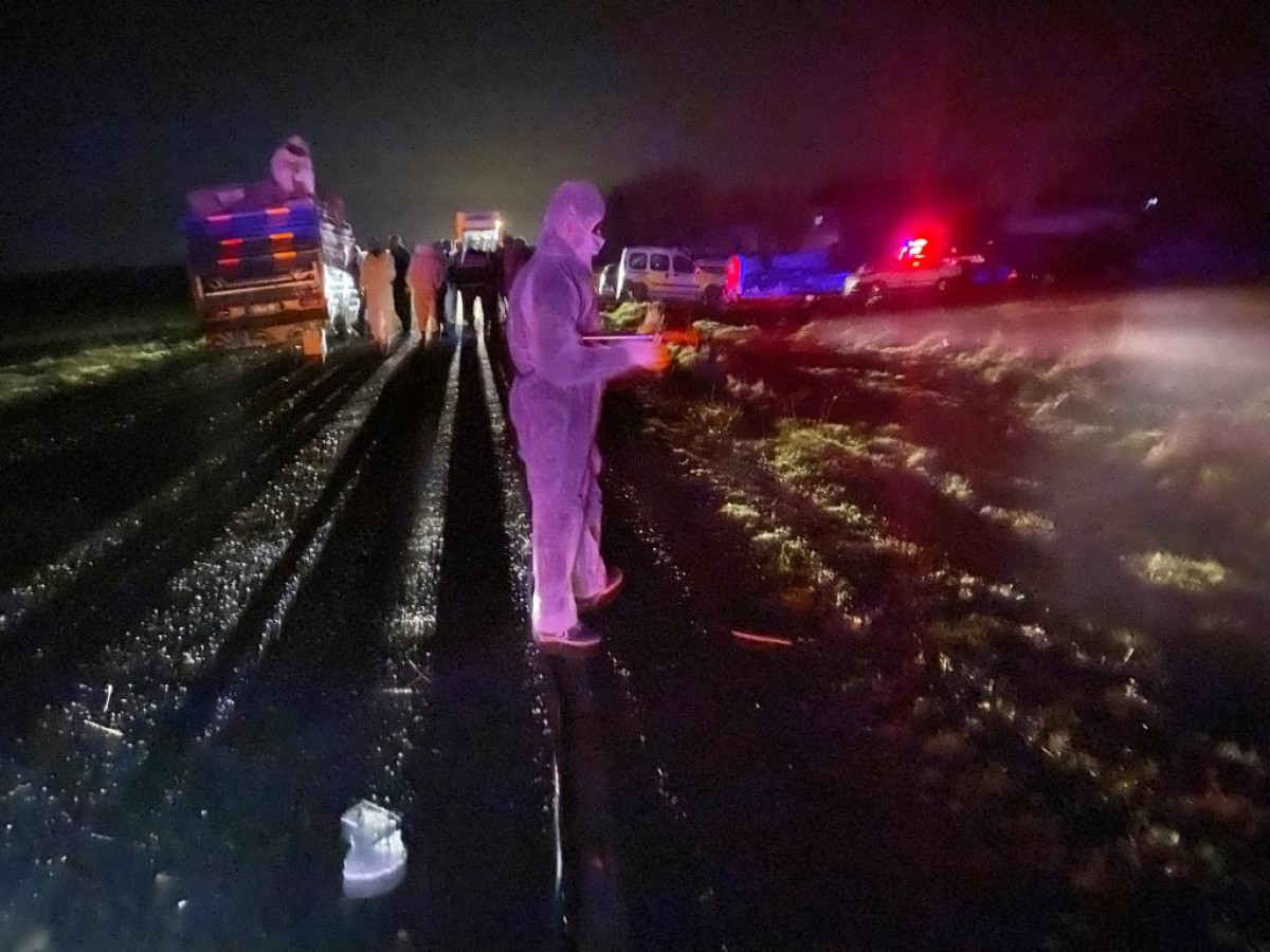 Siverek'te kaza! Arılar etrafa saçıldı