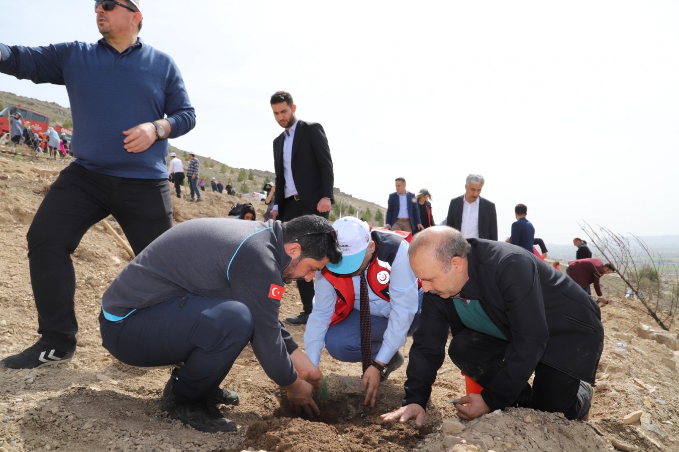 Sağlık personelleri hastalıklara karşı onlarca ağaç dikti