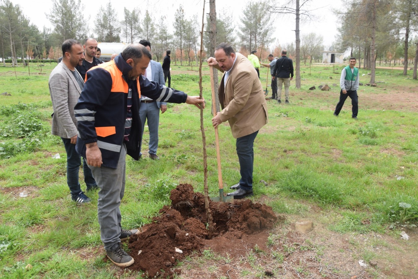 Viranşehir ağaçlandırılıyor