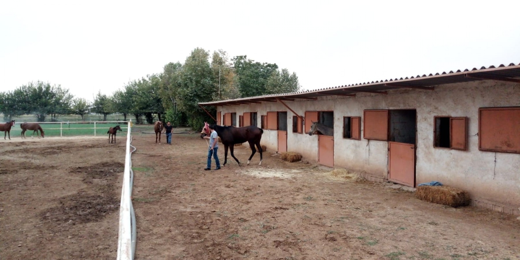 Veriler açıklandı! Şanlıurfa başı çekiyor