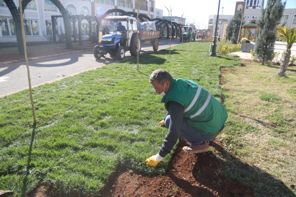 ‘Yeşil Koridor’da peyzaj çalışmaları başladı