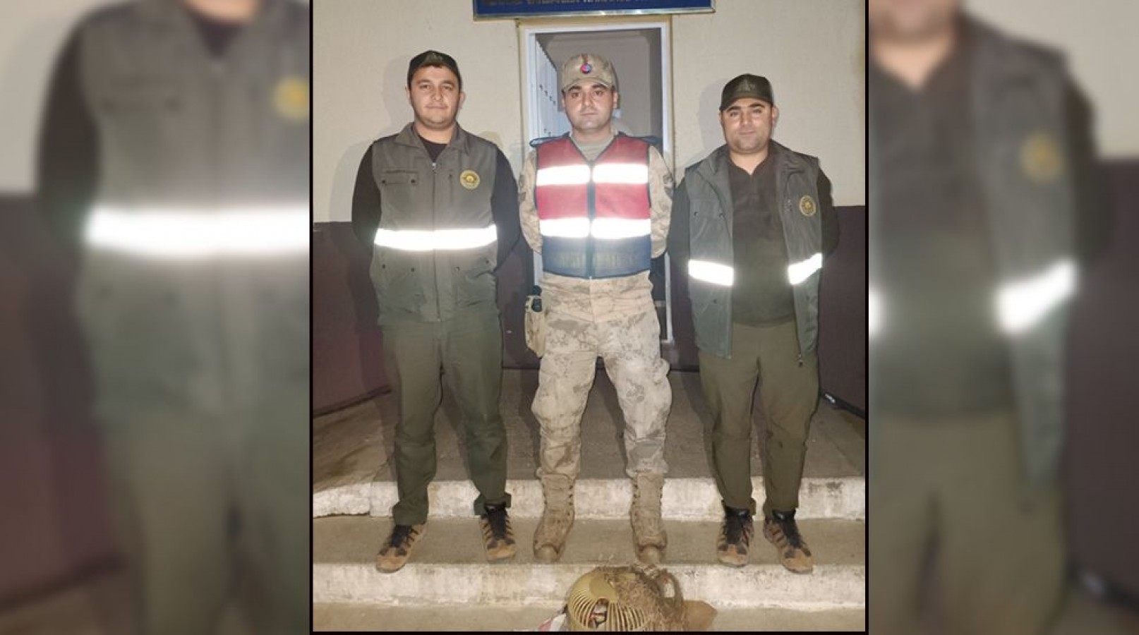 Jandarma kınalı kekliğe el koydu!