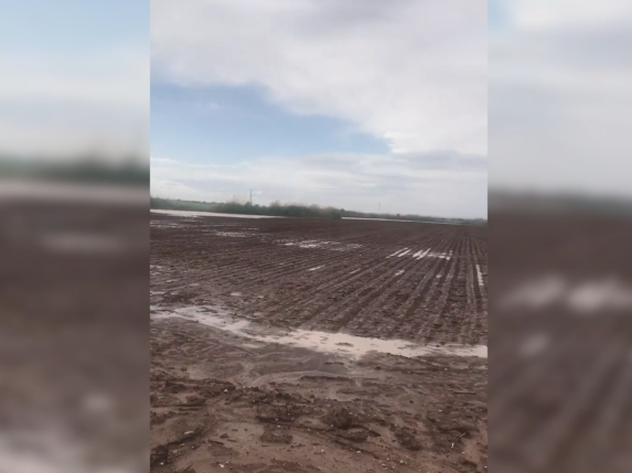 Suruç'ta tarlalar sular altında kaldı