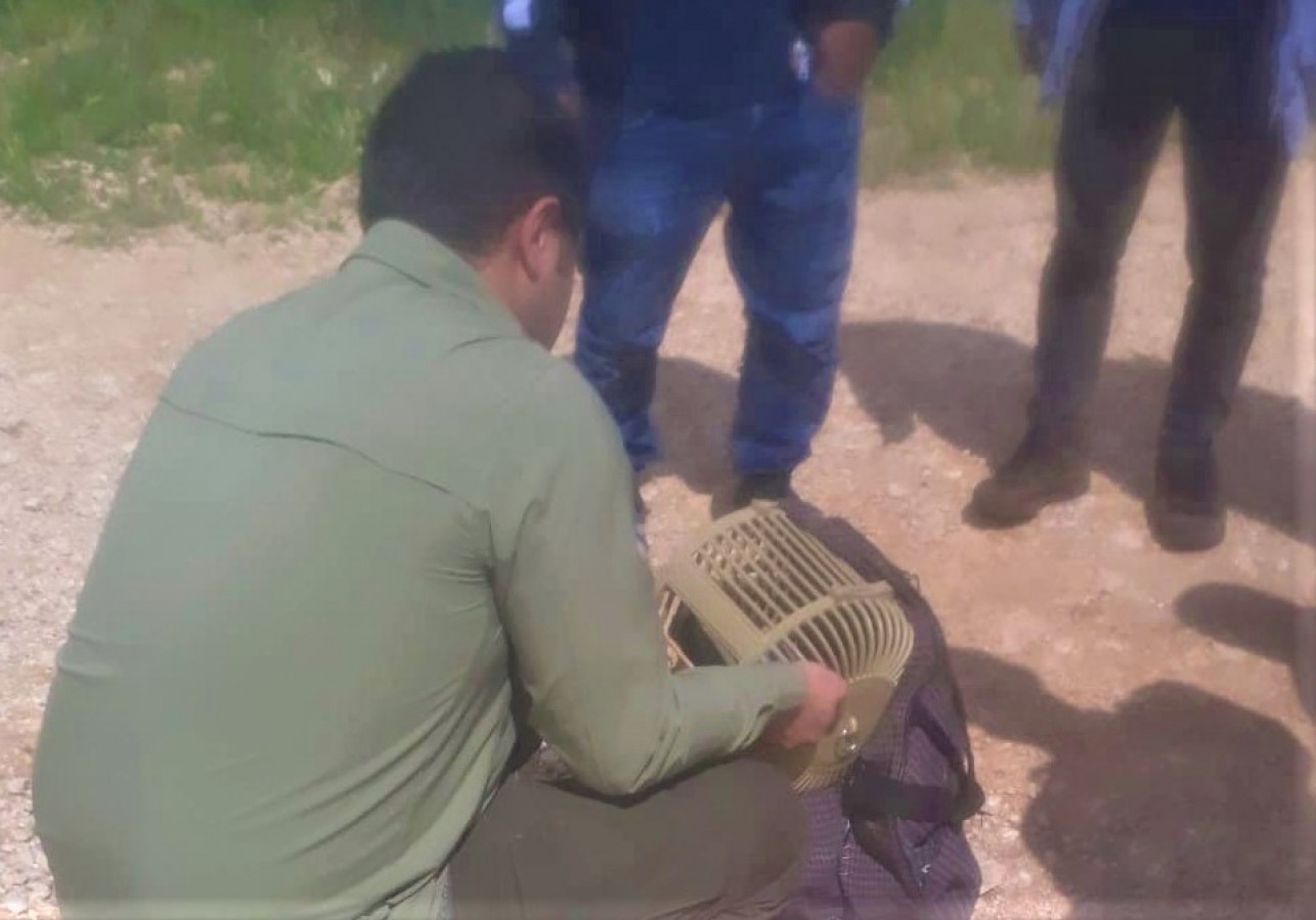 Şanlıurfa’da kaçak avlananlara idari işlem!