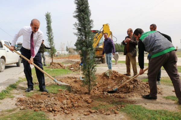 Akçakale’de ağaç dikim çalışmaları sürüyor