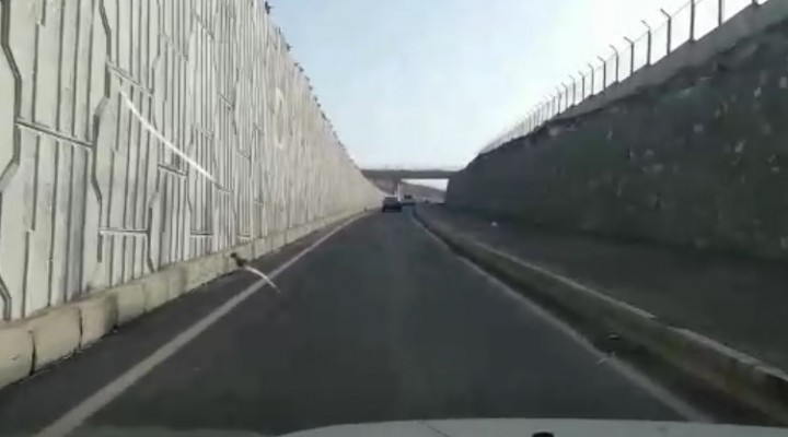 Şanlıurfa’da tepki çeken köprülü kavşak projesi