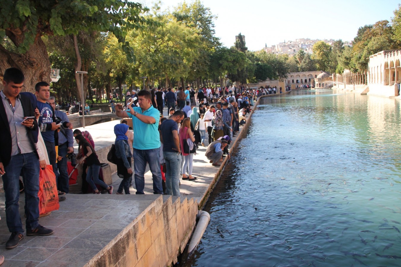 Veriler açıklandı, Şanlıurfa 2’nci sırada