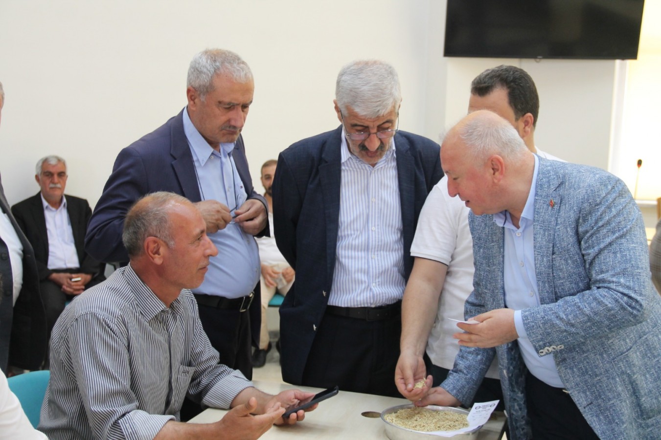 Yılın ilk hasadı görücüye çıktı
