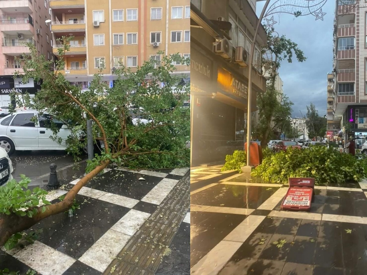 Urfa fırtına ve yağmura teslim