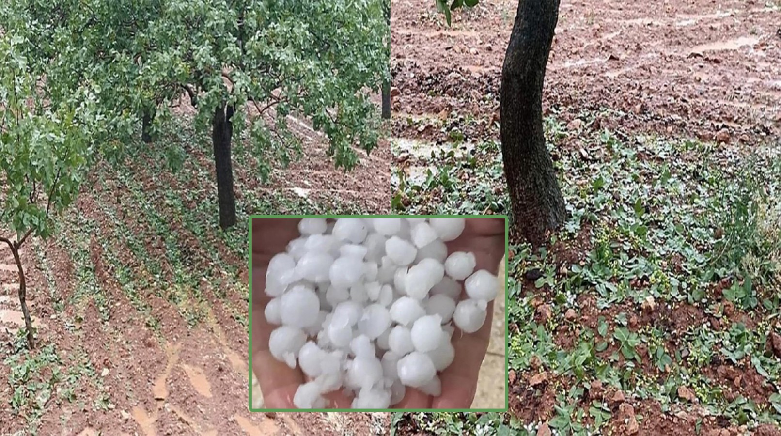 Halfeti’de sağanak ve dolu sonrası tarlalarda hasar tespiti yapılacak