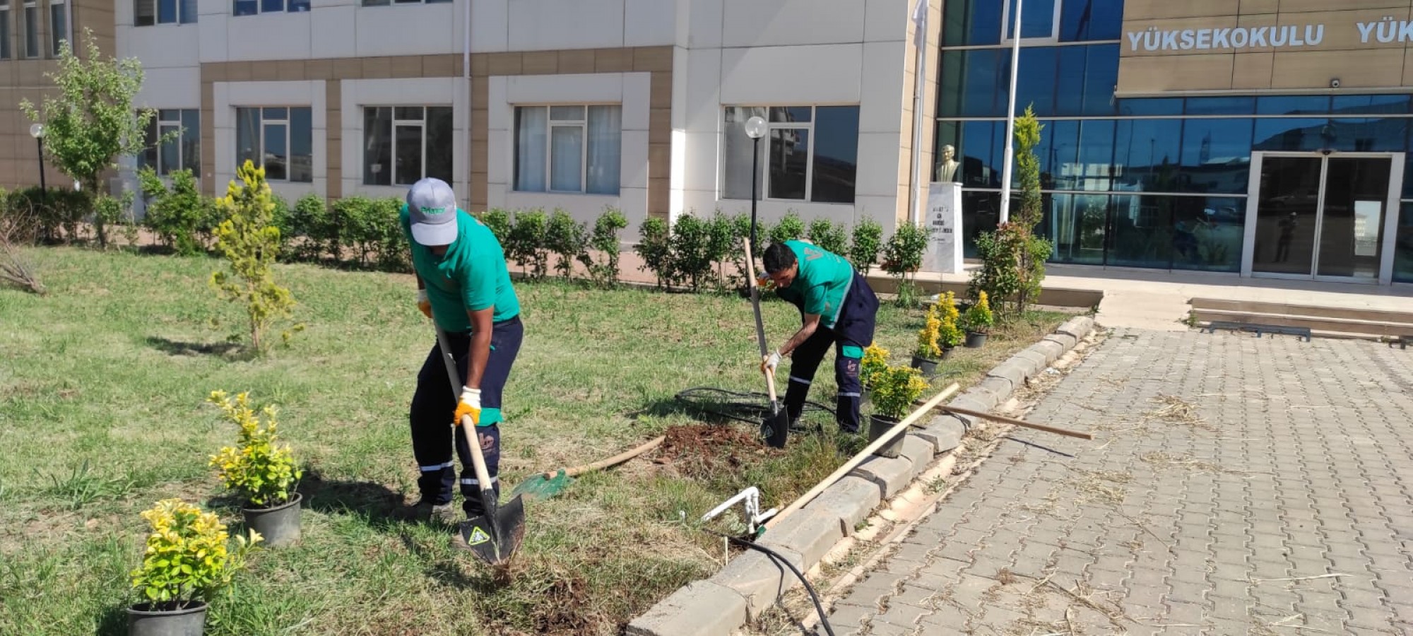 Viranşehir Belediyesi’nden üniversiteye peyzaj çalışması