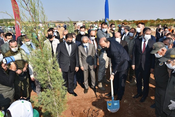 Şanlıurfa'da 2020 yılında 1 Milyon 107 Bin fidan dikildi