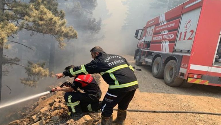 Eyyübiye’de ormanlık alanda yangın