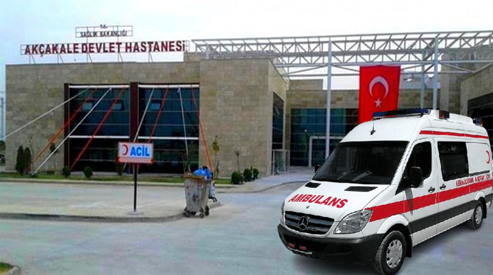 Akçakale'de kontrolden çıkan at arabası devrildi