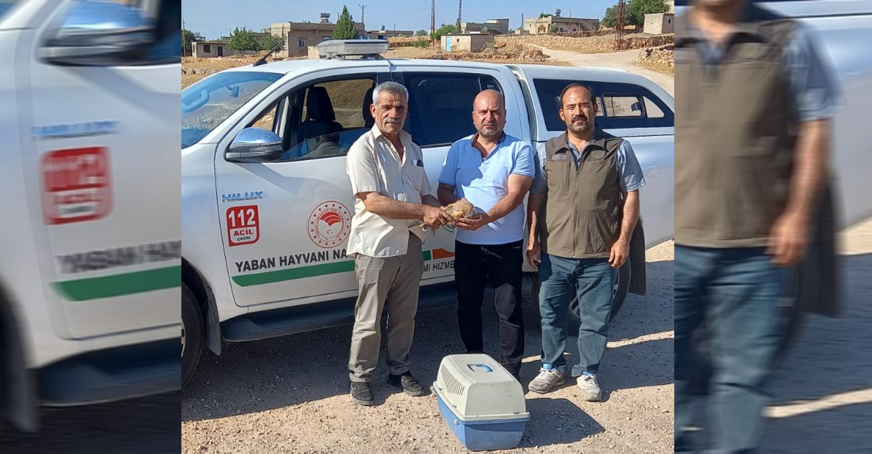Urfa'da yaralı baykuş bulundu