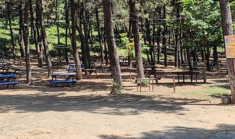 İçişleri Bakanlığı'ndan 81 il valiliğine 'orman yangınları tedbirleri' genelgesi