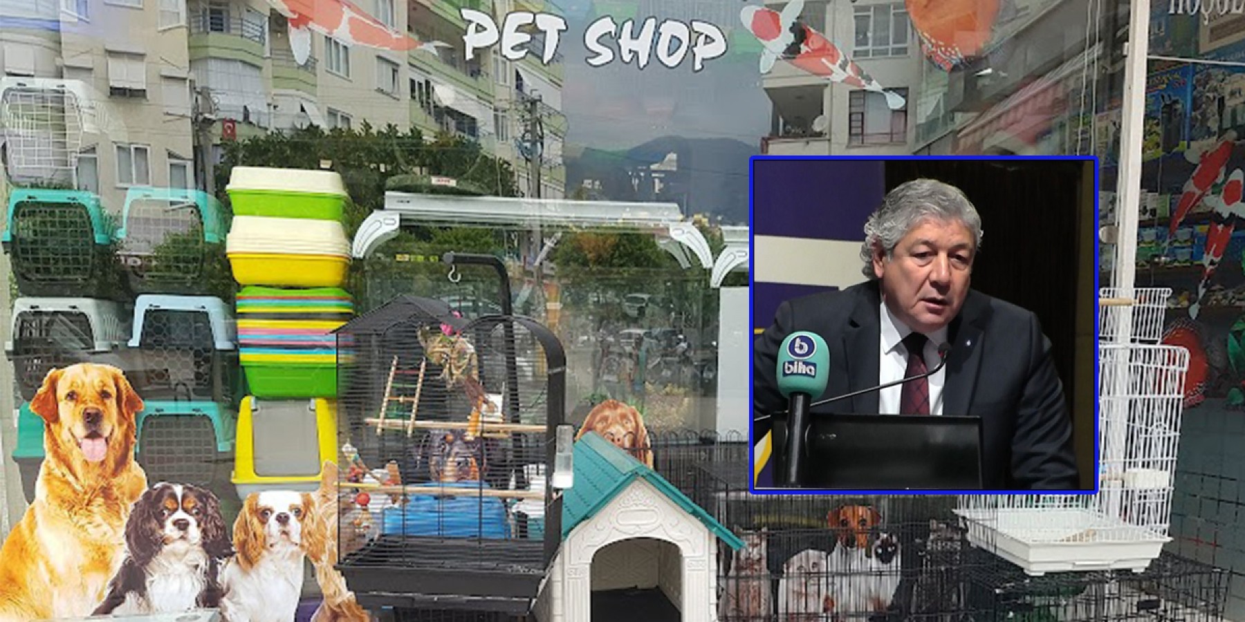 Melik’ten petshopların Kasaplar Odası’na bağlanmasına tepki!