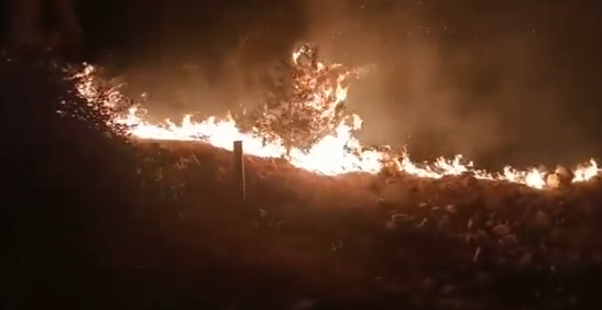 Şanlıurfa’da orman yangını!