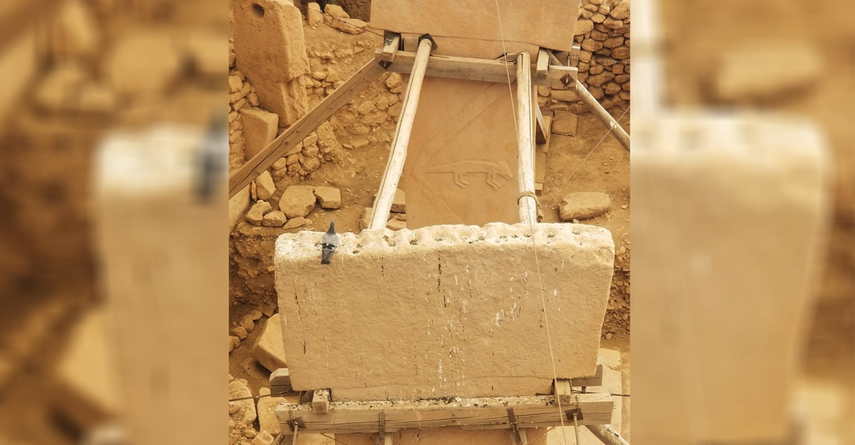 Göbeklitepe'de yeni tehdit: Kuş pisliği!