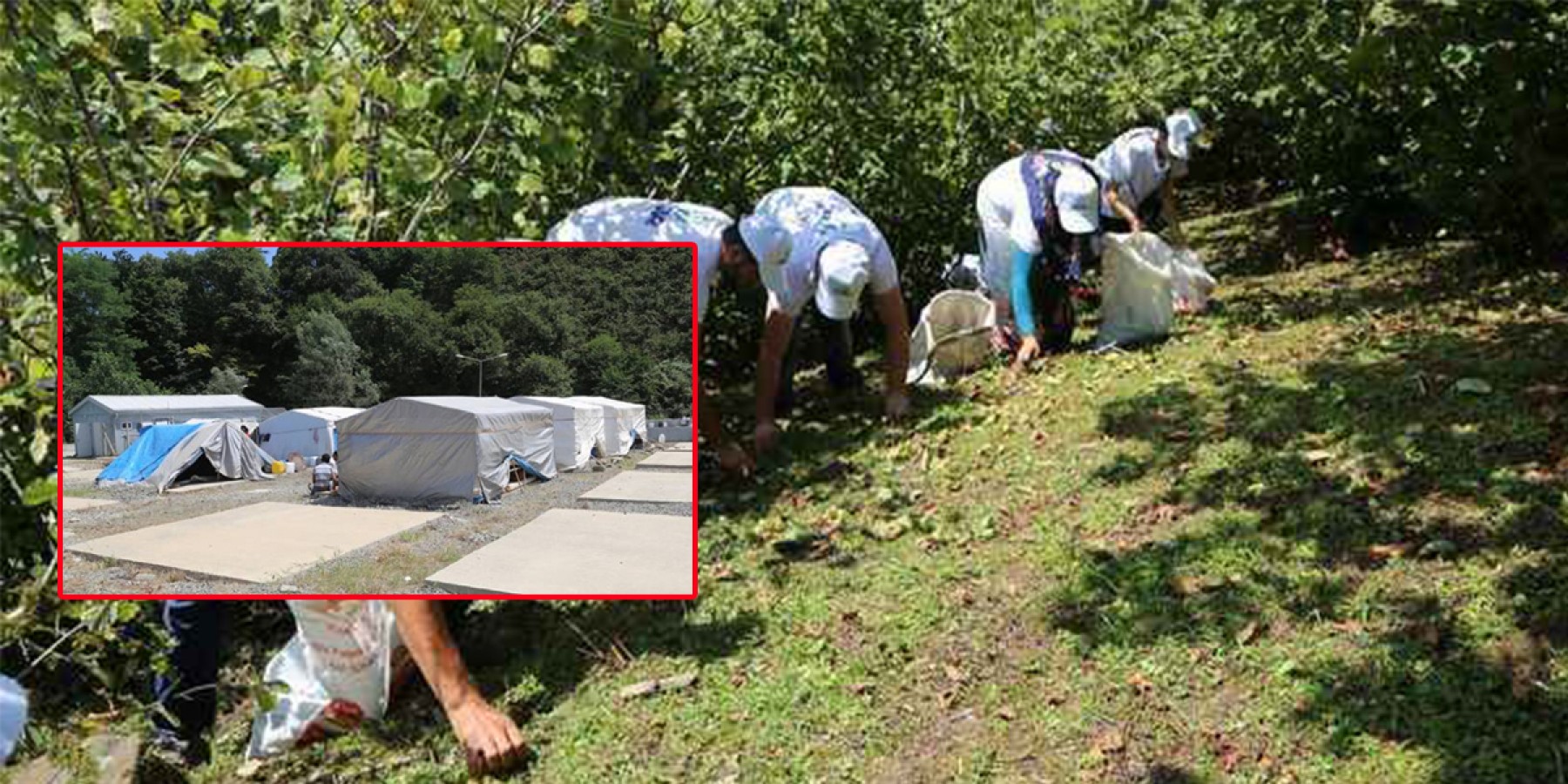 Urfalı tarım işçileri vali ve milletvekillerine seslendi!