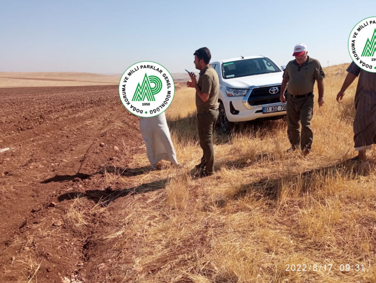 Urfa'da güvercin avlayan kaçak avcılar yakalandı!