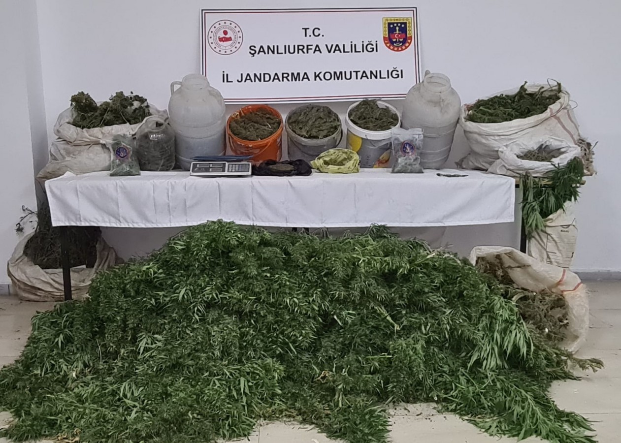 Viranşehir’de jandarmadan uyuşturucu operasyonu