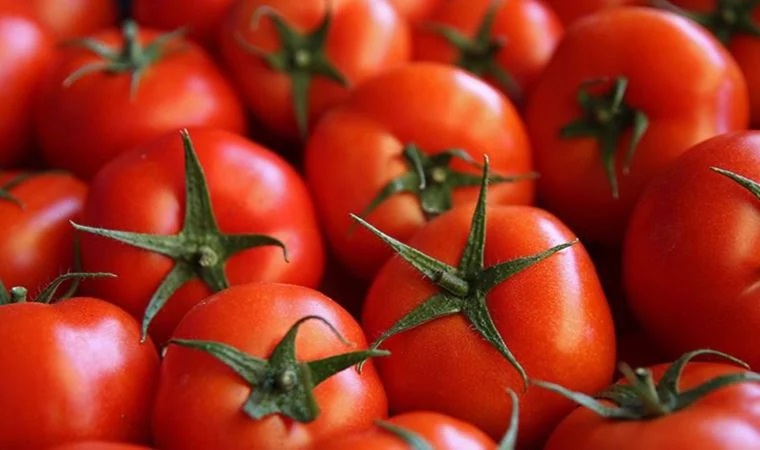 Domatesin ihracatı artık bakanlık iznine tabi