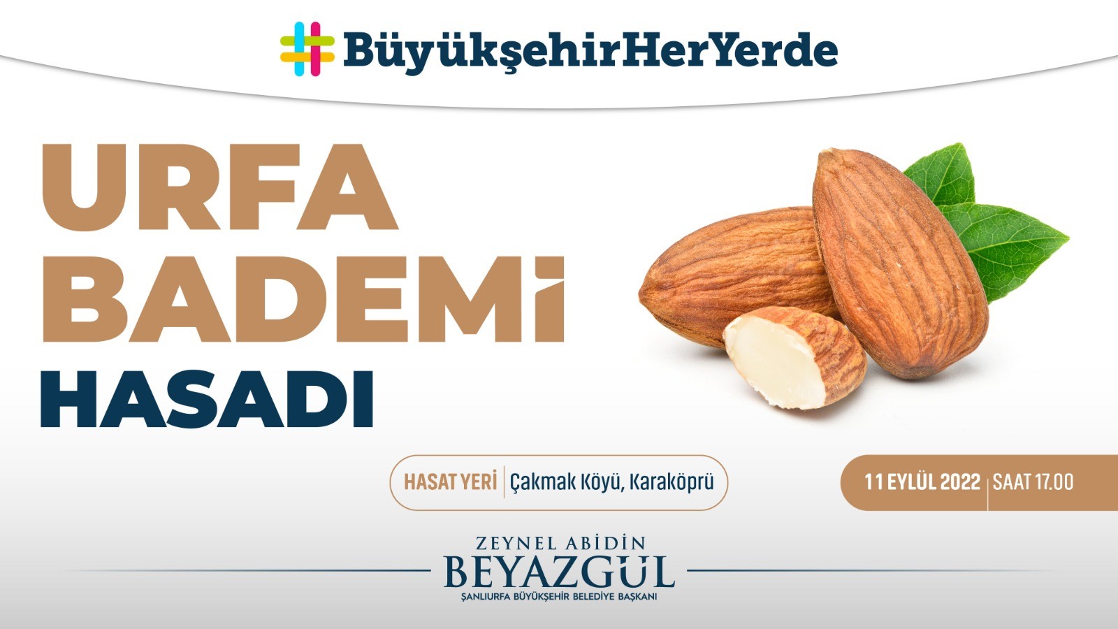 Şanlıurfa'da badem hasadı etkinliği düzenlenecek