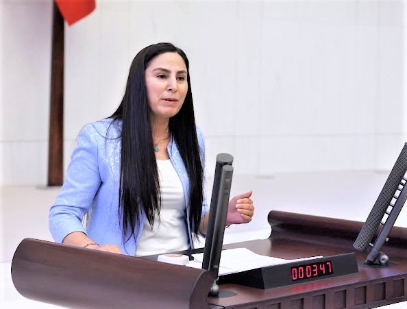 Vekil Sürücü: Siverek’teki sorunu Meclis’e taşıdı